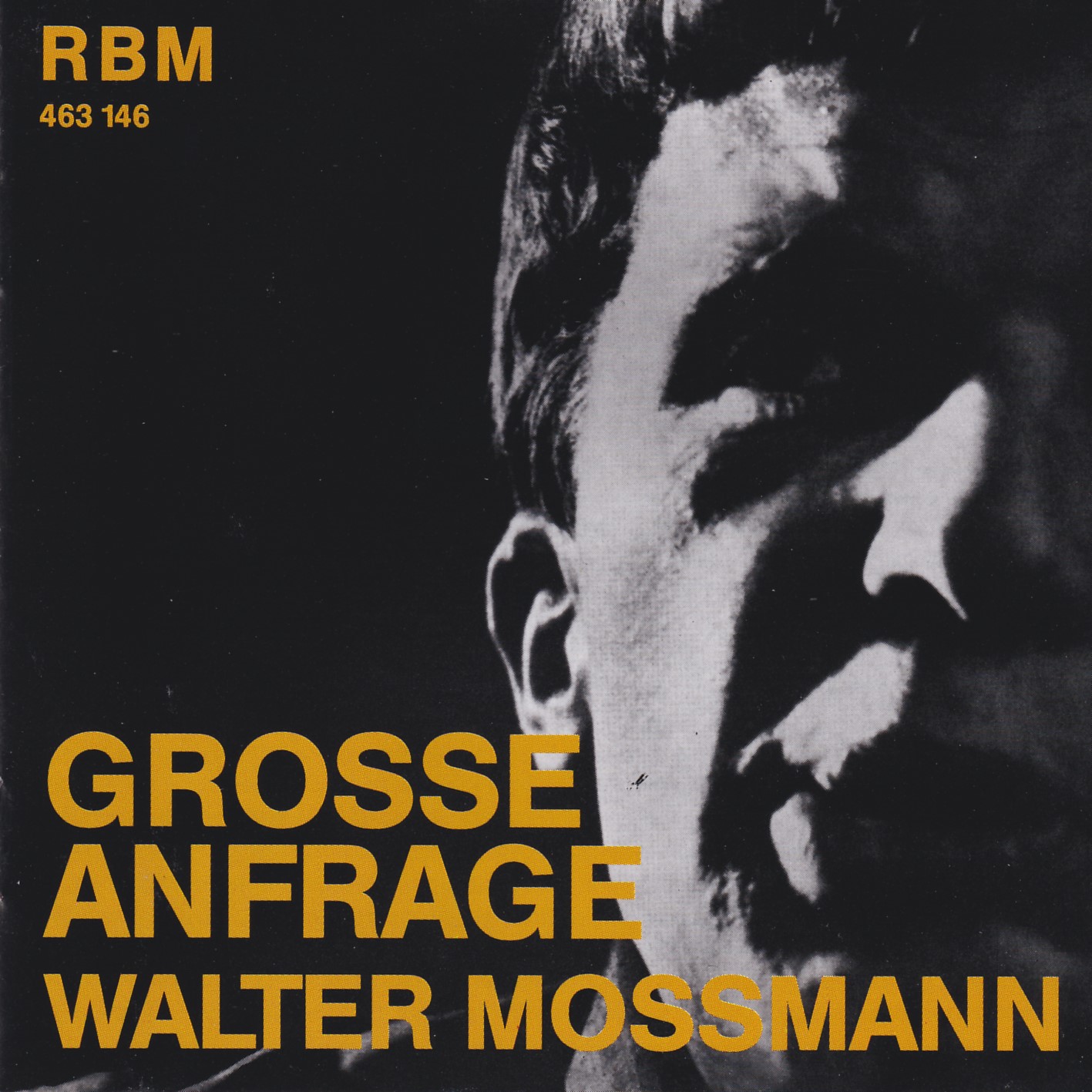 Walter Mossmann - Große Anfrage